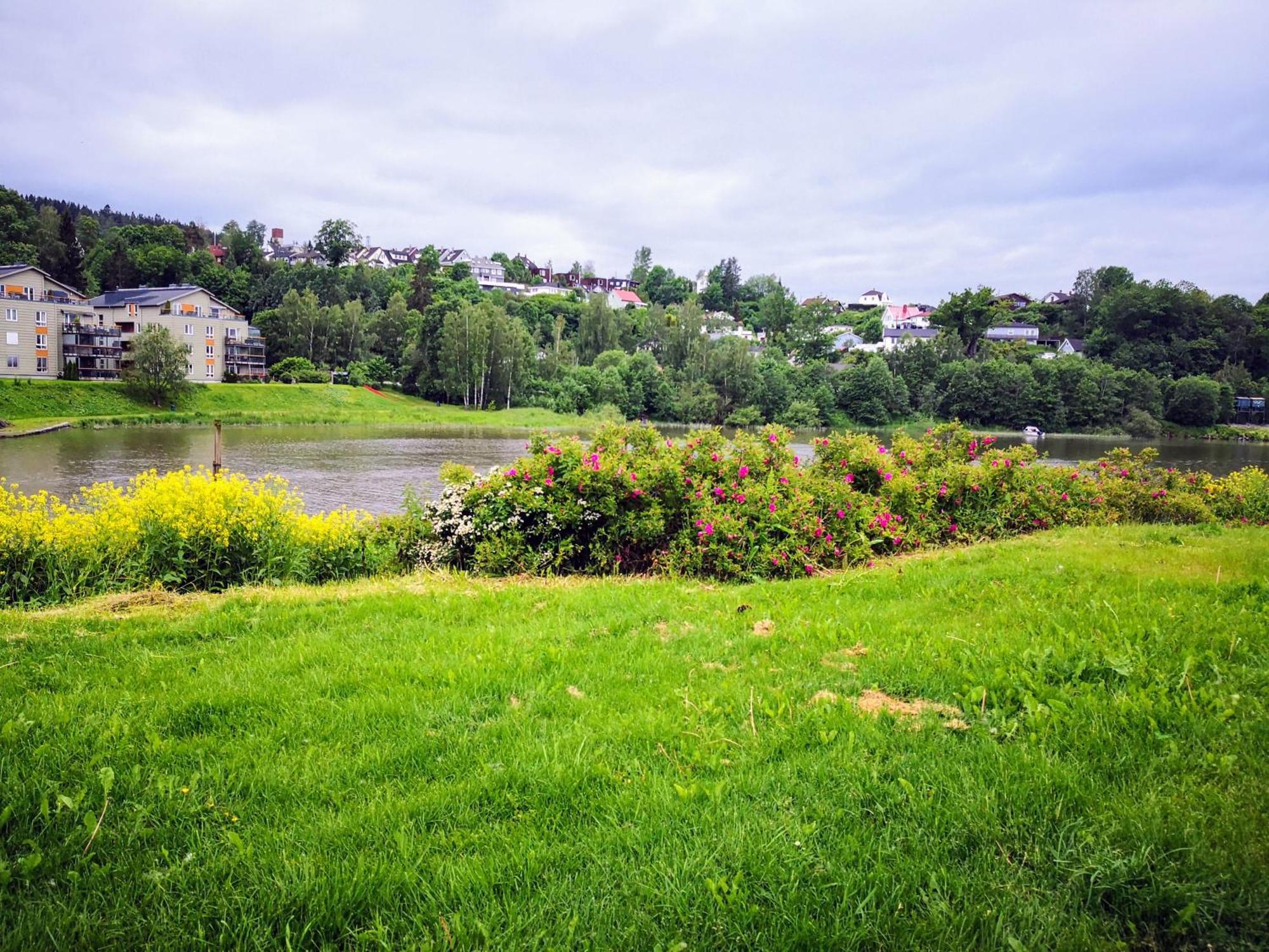 Lillestrom Central City Apartment Fully Furnished Екстер'єр фото